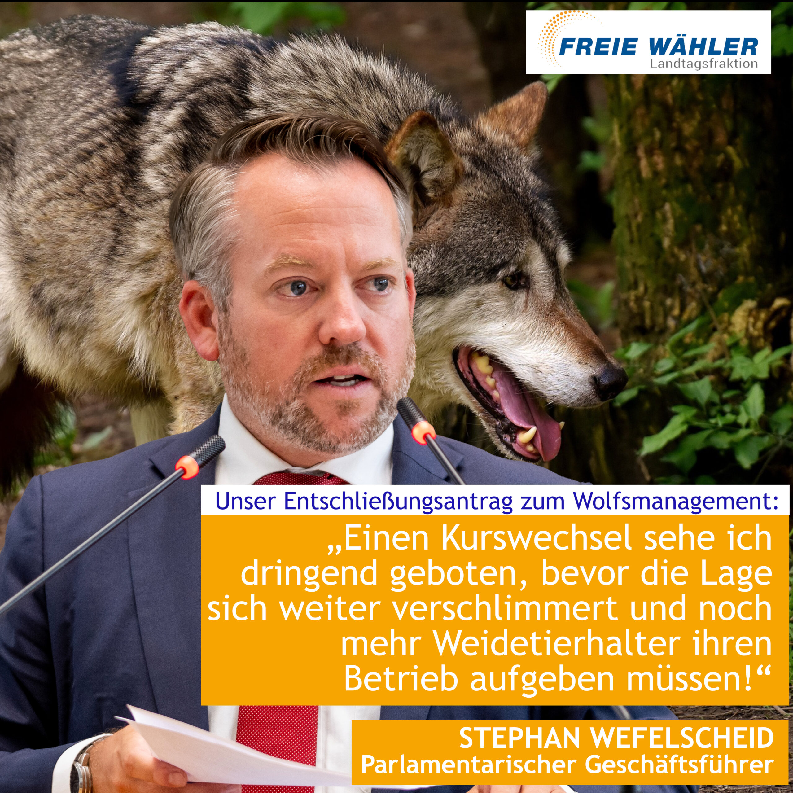 Zehn Punkte Plan Wolfsmanagement soll reformiert werden FREIE WÄHLER